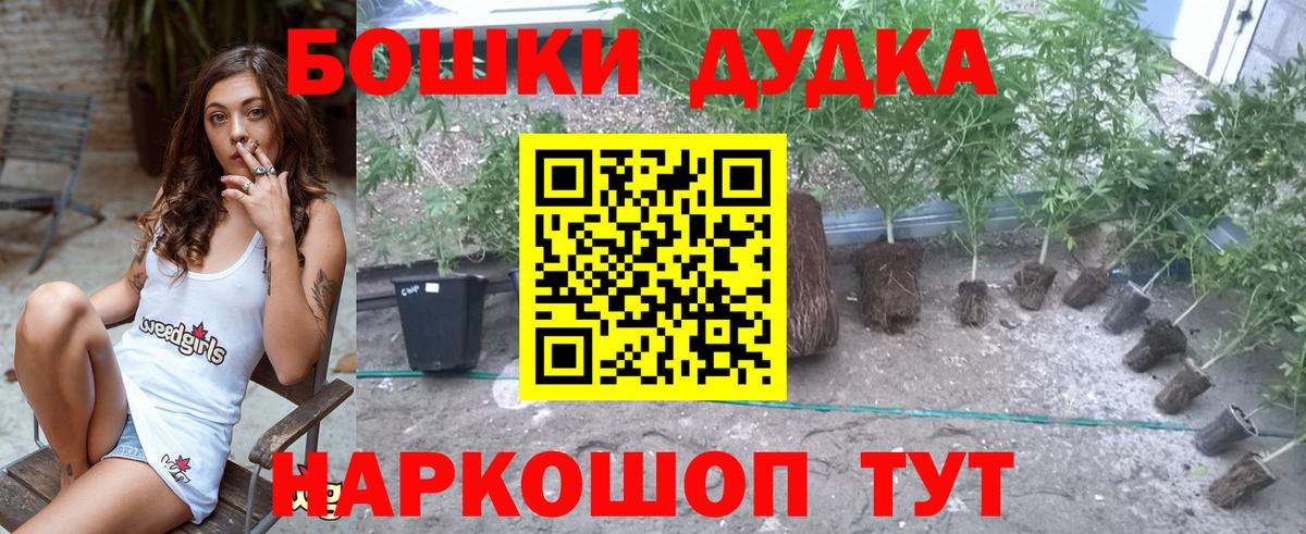 Бошки Шишки планчик Муравленко
